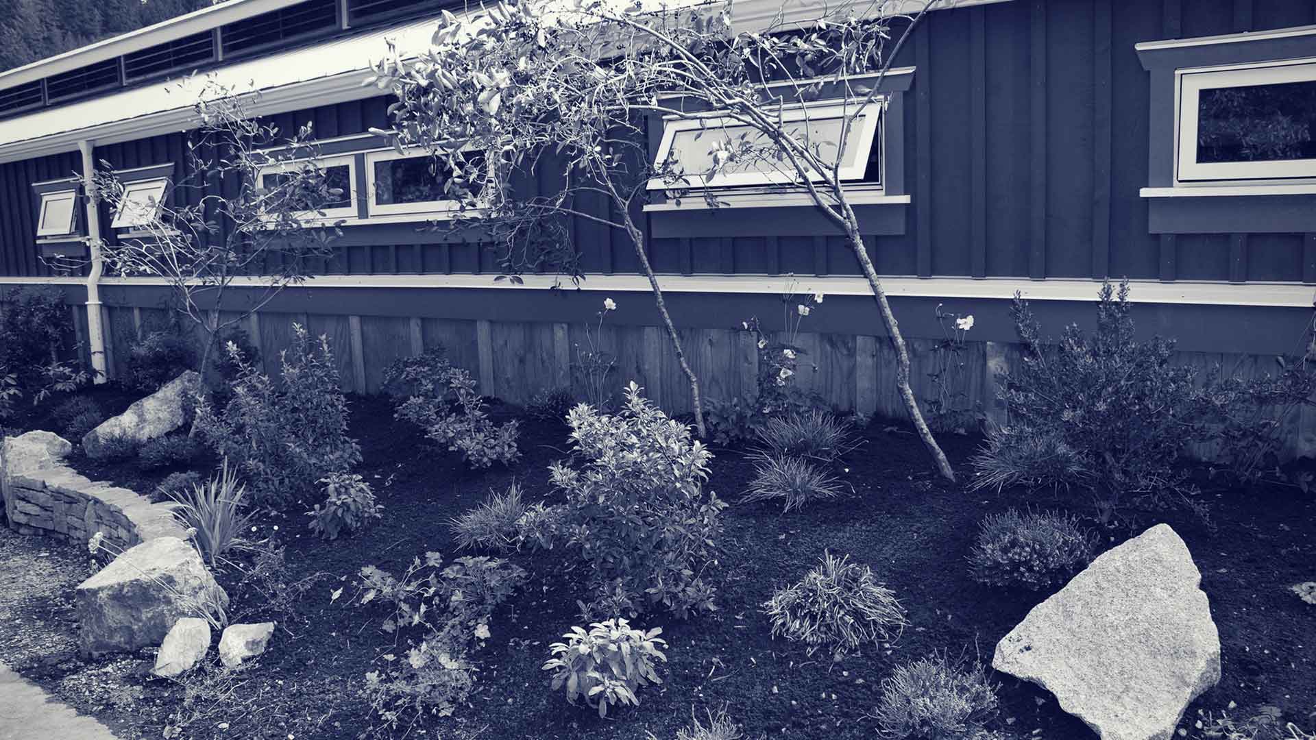 Bowen Island Community Foundation